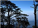 Filename0153.JPG