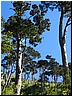 Filename0156.JPG