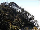 Filename0160.JPG