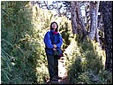 Filename0161.JPG
