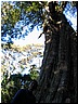 Filename0174.JPG