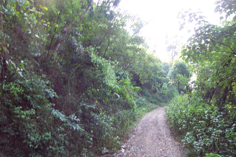 DCP_0527.JPG