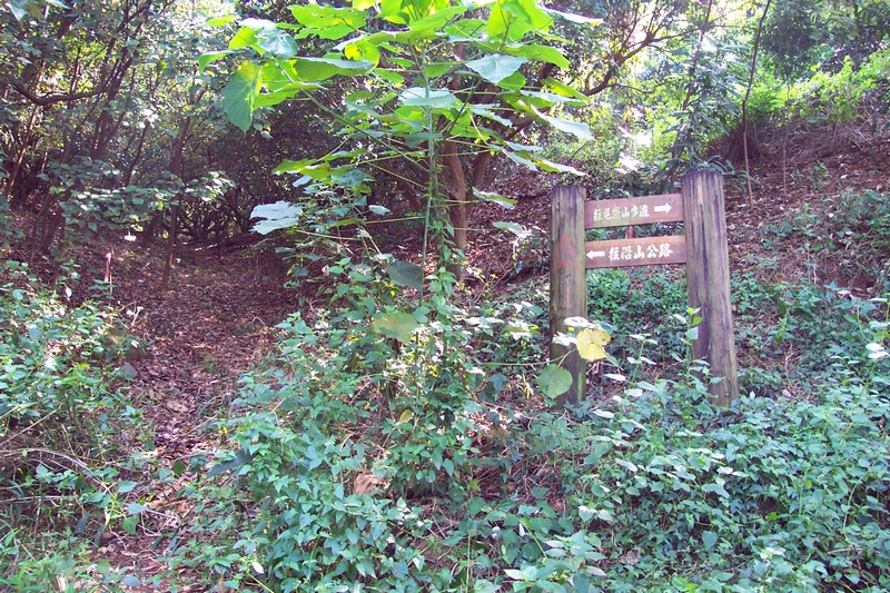 DCP_0529.JPG