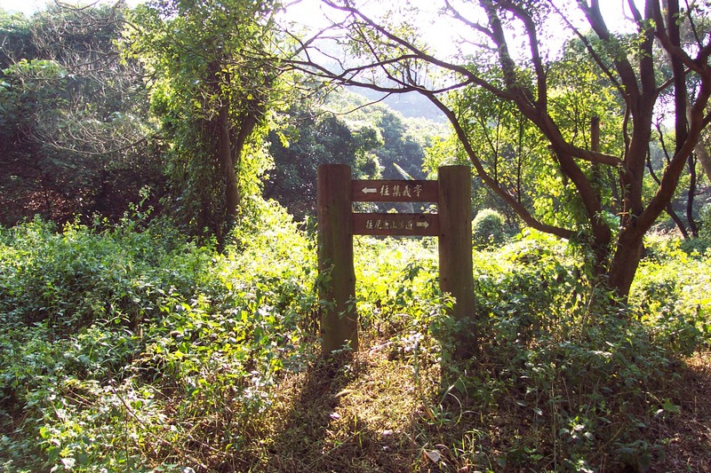 DCP_0530.JPG
