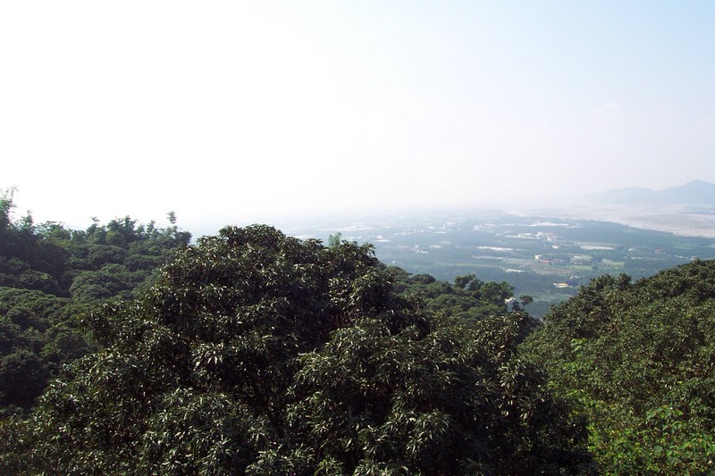 DCP_0536.JPG