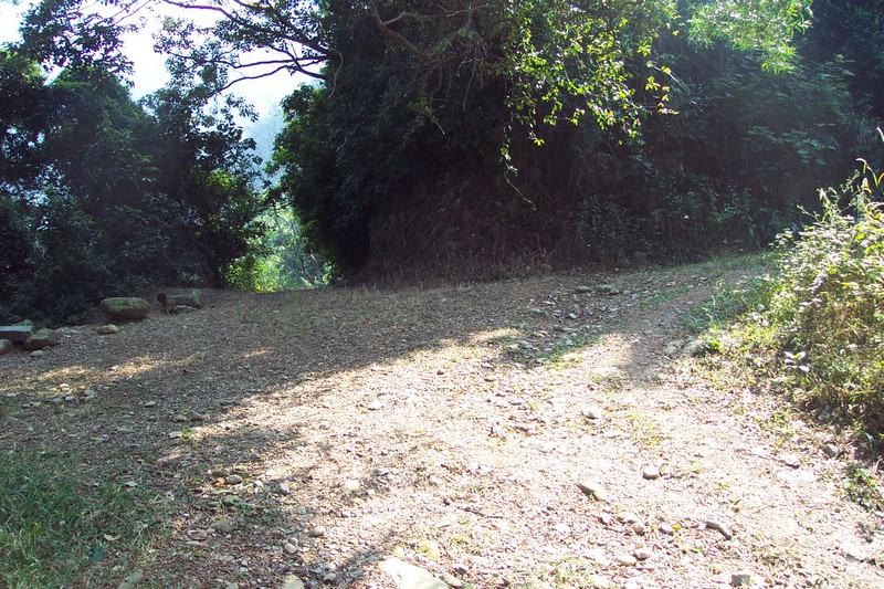 DCP_0538.JPG
