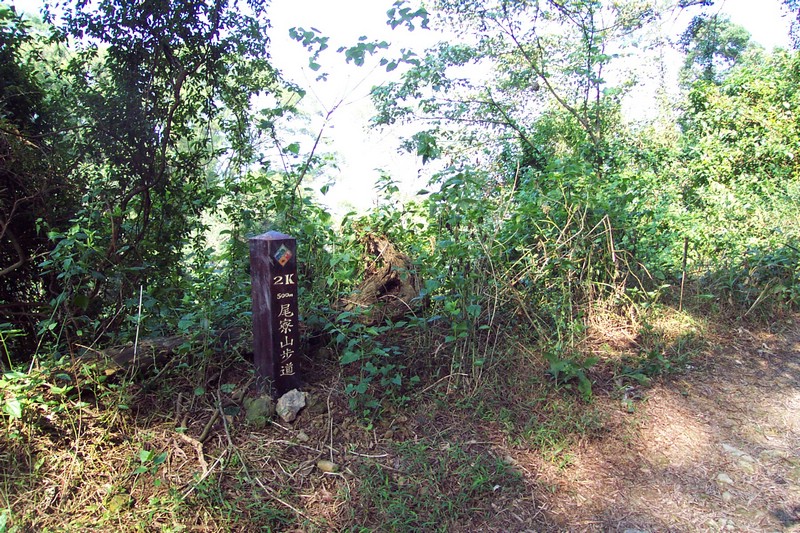 DCP_0539.JPG