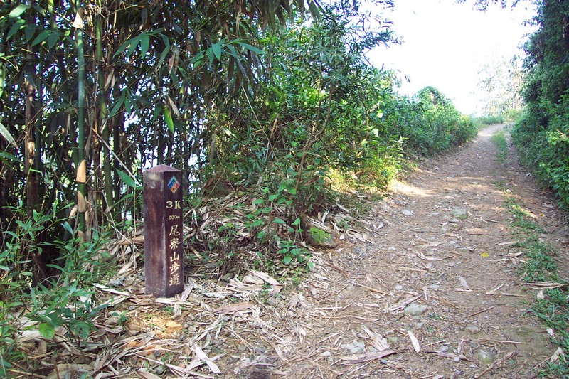 DCP_0540.JPG