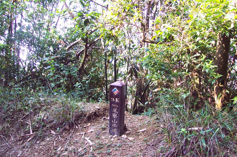 DCP_0542.JPG