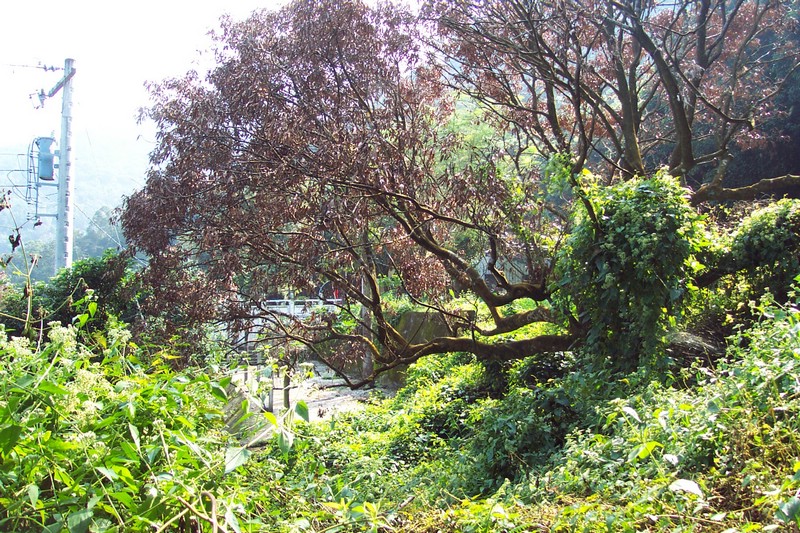 DCP_0546.JPG