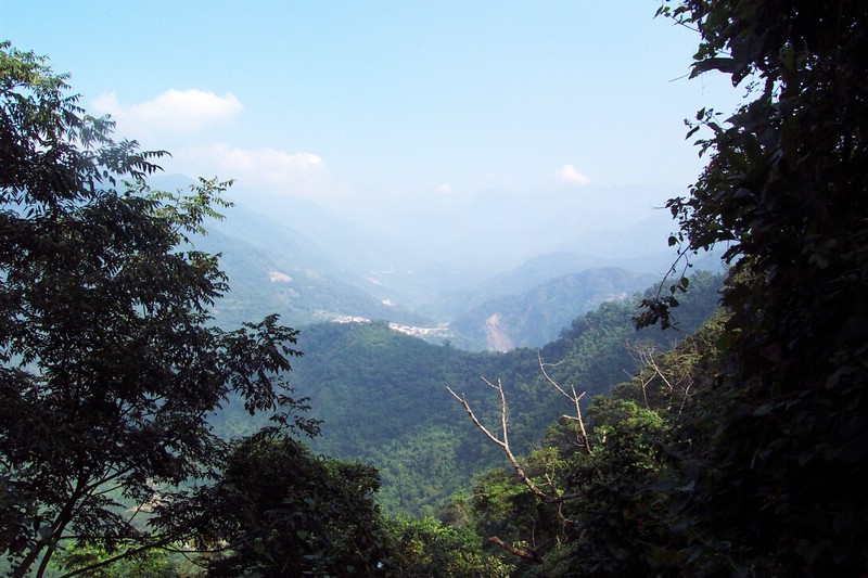 DCP_0550.JPG