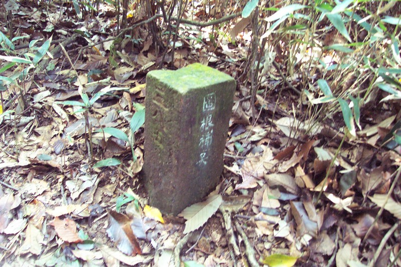 DCP_0563.JPG