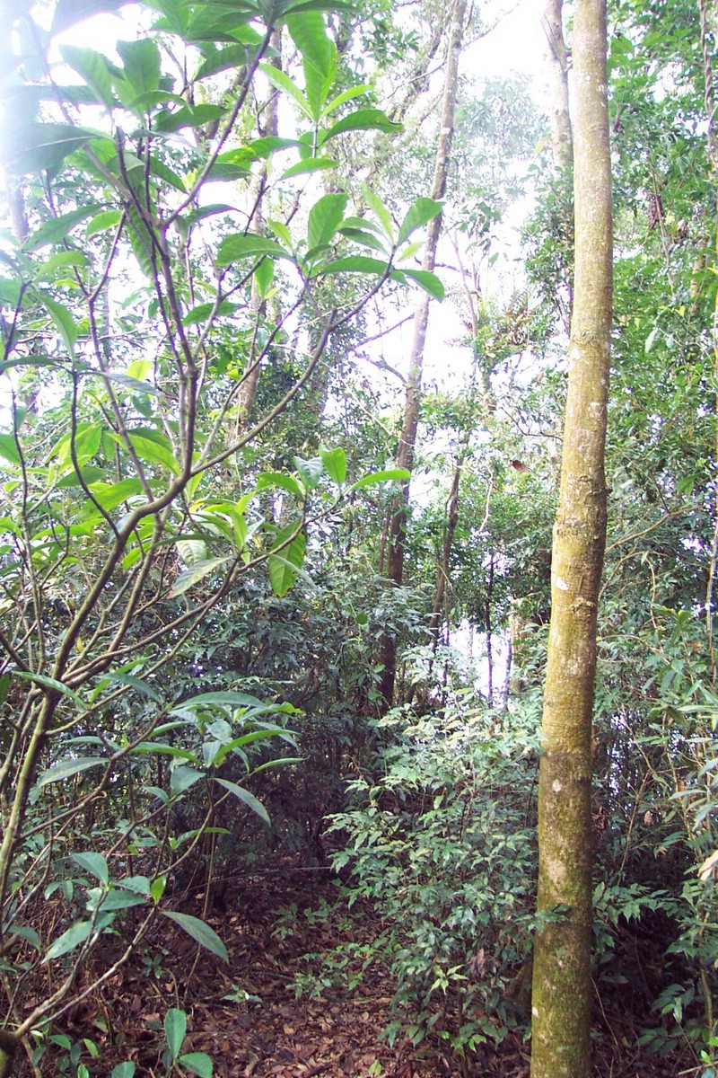 DCP_0575.JPG