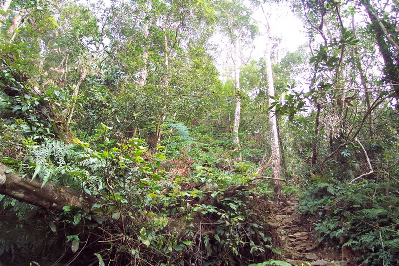 DCP_0578.JPG