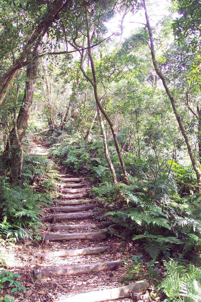 DCP_0580.JPG