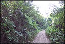 DCP_0527.JPG
