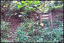 DCP_0529.JPG