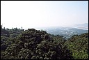 DCP_0536.JPG