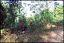 DCP_0539.JPG