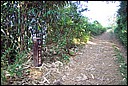 DCP_0540.JPG
