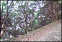 DCP_0543.JPG