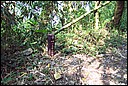 DCP_0554.JPG