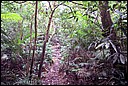DCP_0567.JPG