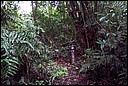 DCP_0568.JPG