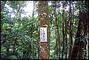 DCP_0569.JPG