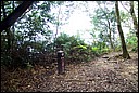 DCP_0571.JPG