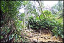 DCP_0573.JPG