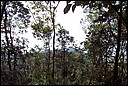 DCP_0574.JPG