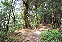 DCP_0587.JPG
