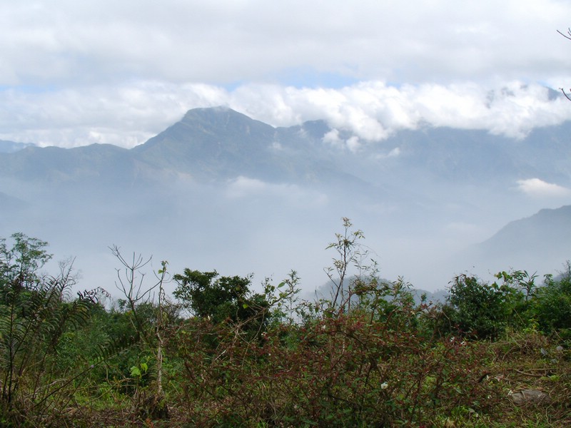 SANY0011.JPG