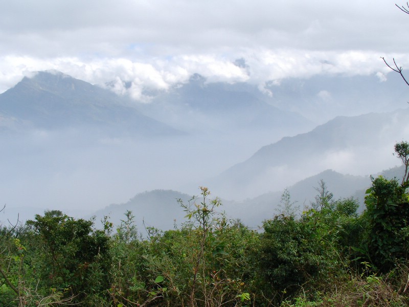 SANY0013.JPG