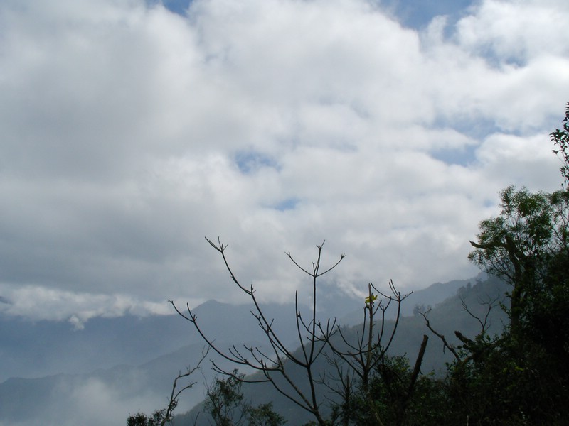 SANY0014.JPG