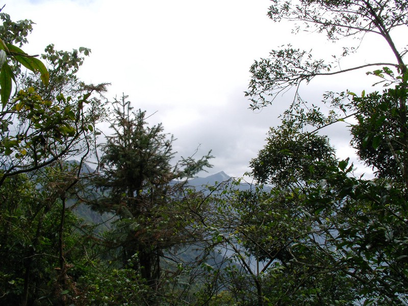 SANY0016.JPG