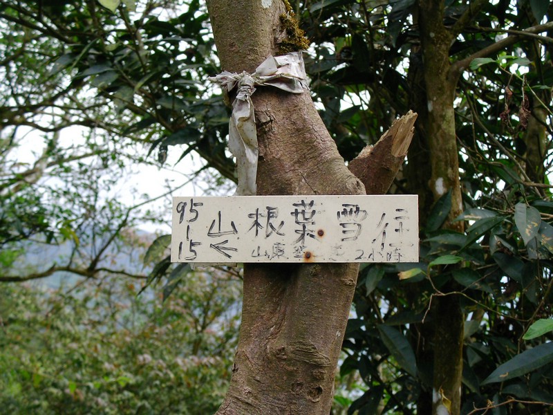 SANY0018.JPG