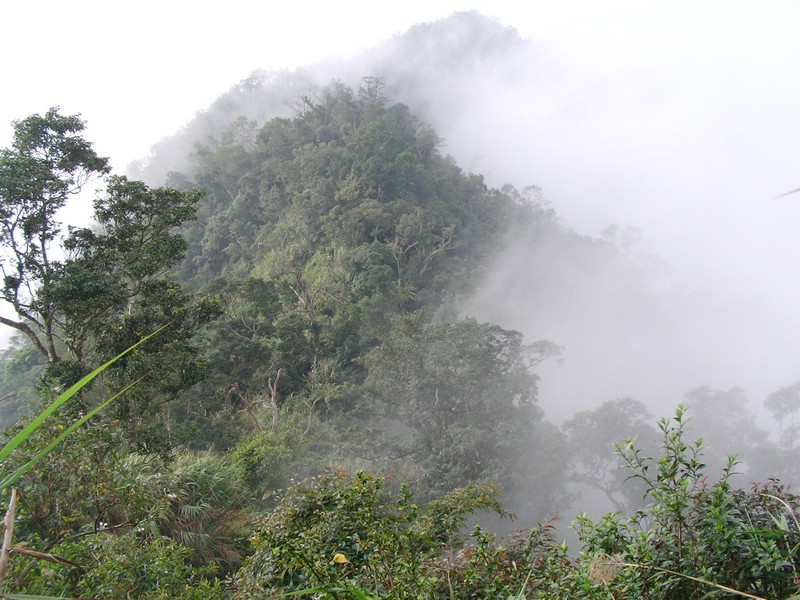 SANY0036.JPG