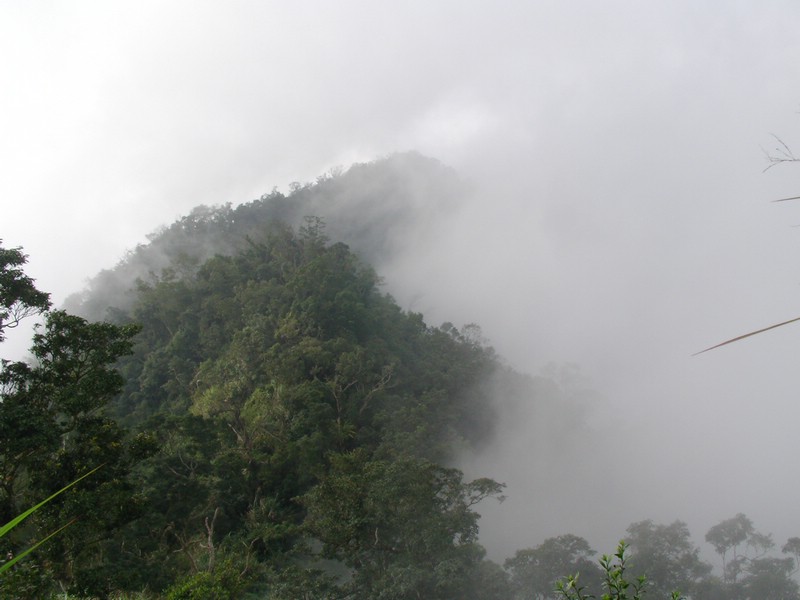 SANY0037.JPG