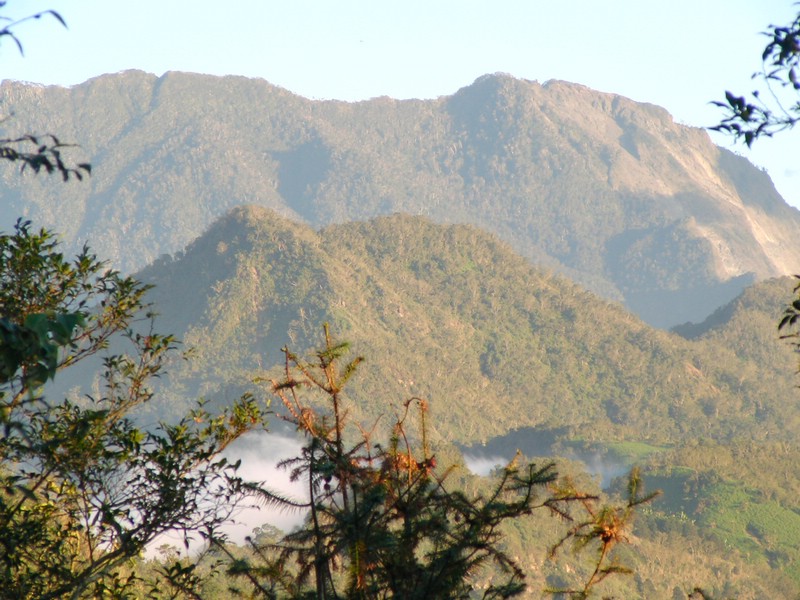 SANY0056.JPG