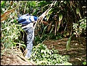SANY0026.JPG