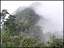 SANY0036.JPG