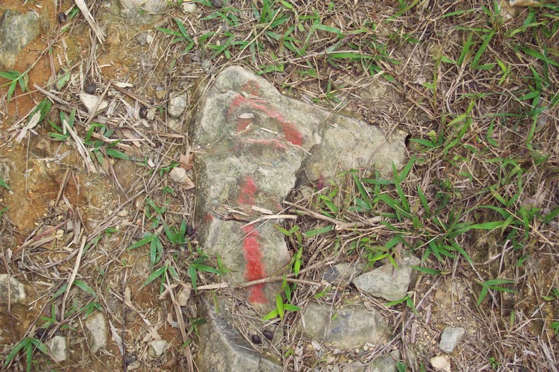 DCP_0716.JPG