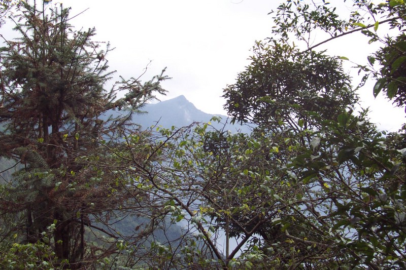 DCP_0724.JPG