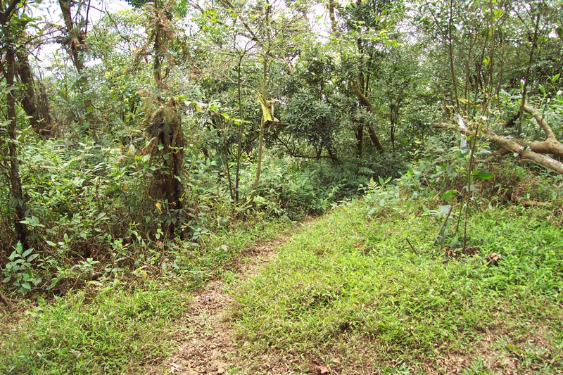 DCP_0725.JPG