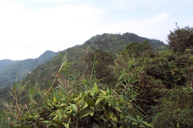 DCP_0736.JPG