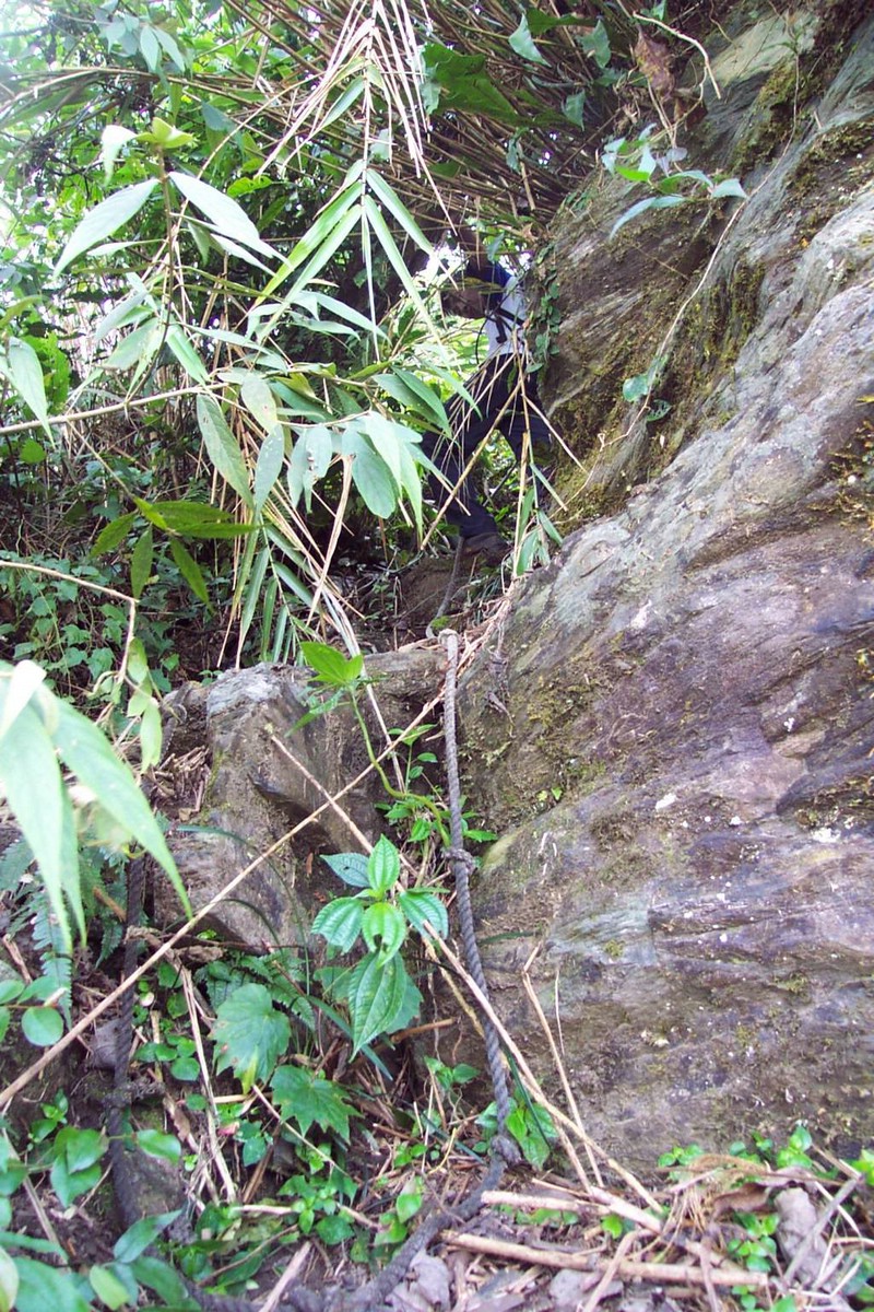 DCP_0751.JPG
