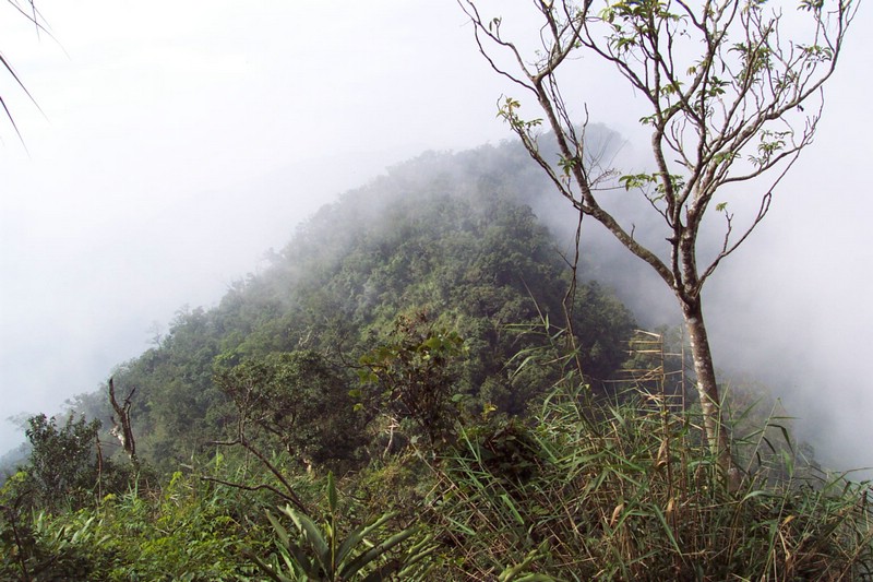 DCP_0752.JPG