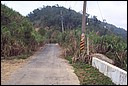 DCP_0708.JPG